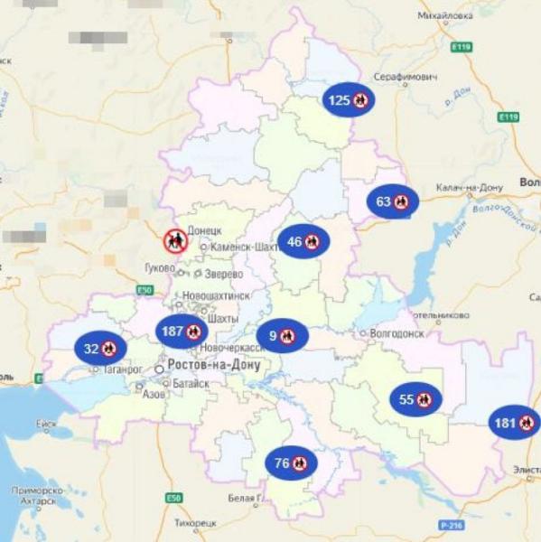 В геоинформационной системе Ростовской области актуализированы потенциально опасные для детей места