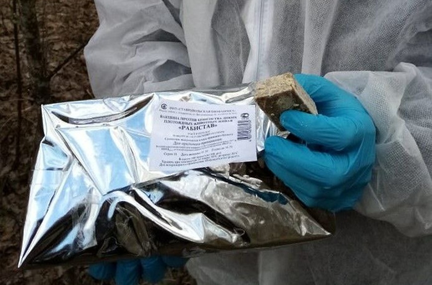 В Белокалитвинском районе пройдет раскладка вакцины против бешенства диких животных