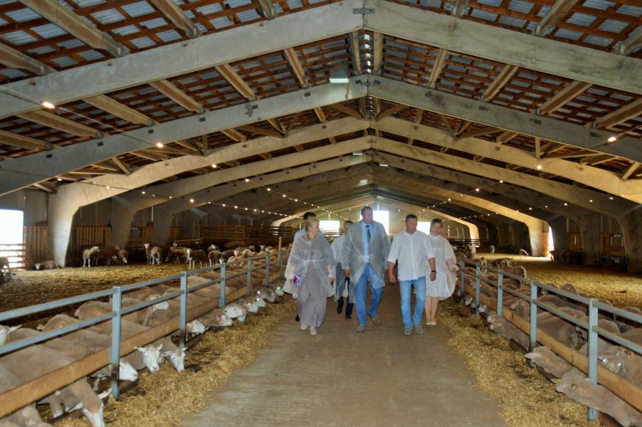 Ольга Мельникова и Павел Павлов обсудили с руководителем подразделения РЗК «Ресурс» реализацию инвестпроекта по созданию комплекса по производству и переработке баранины