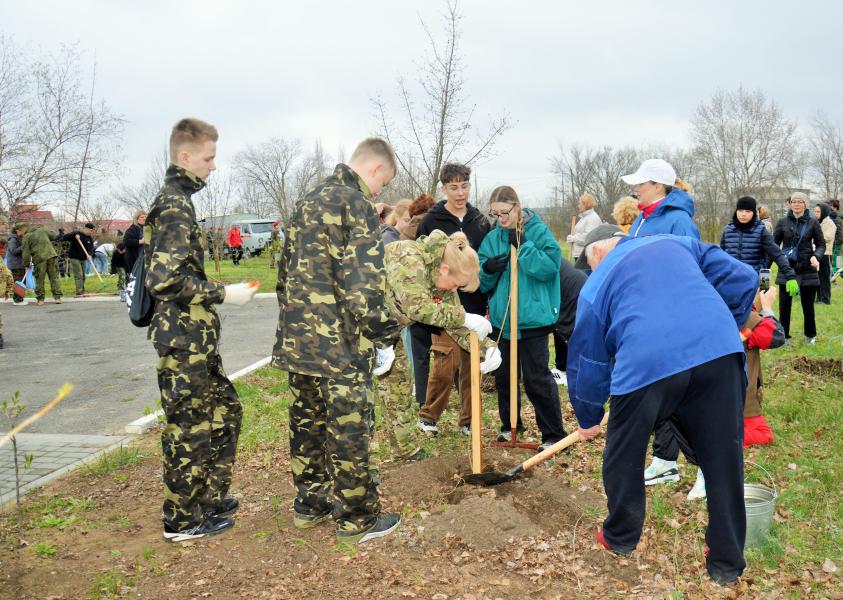 В Белокалитвинском районе в честь 80-ой годовщины Победы в Великой Отечественной войне высажен «Сад памяти» из 80 кленов