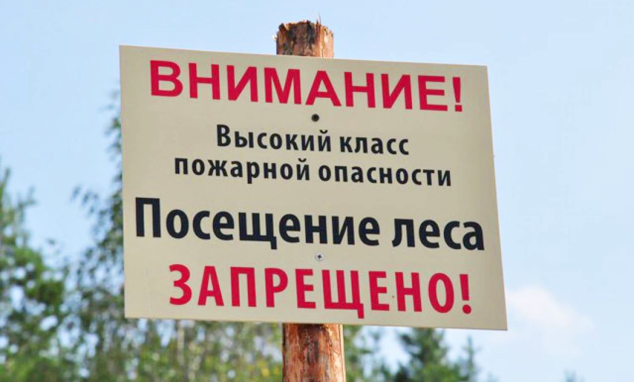 В Ростовской области введен режим ограничения пребывания граждан в лесах!!