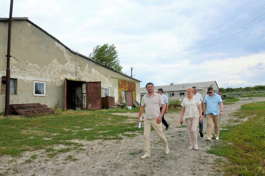 Ольга Мельникова отметила активное развитие животноводства в Белокалитвинском районе