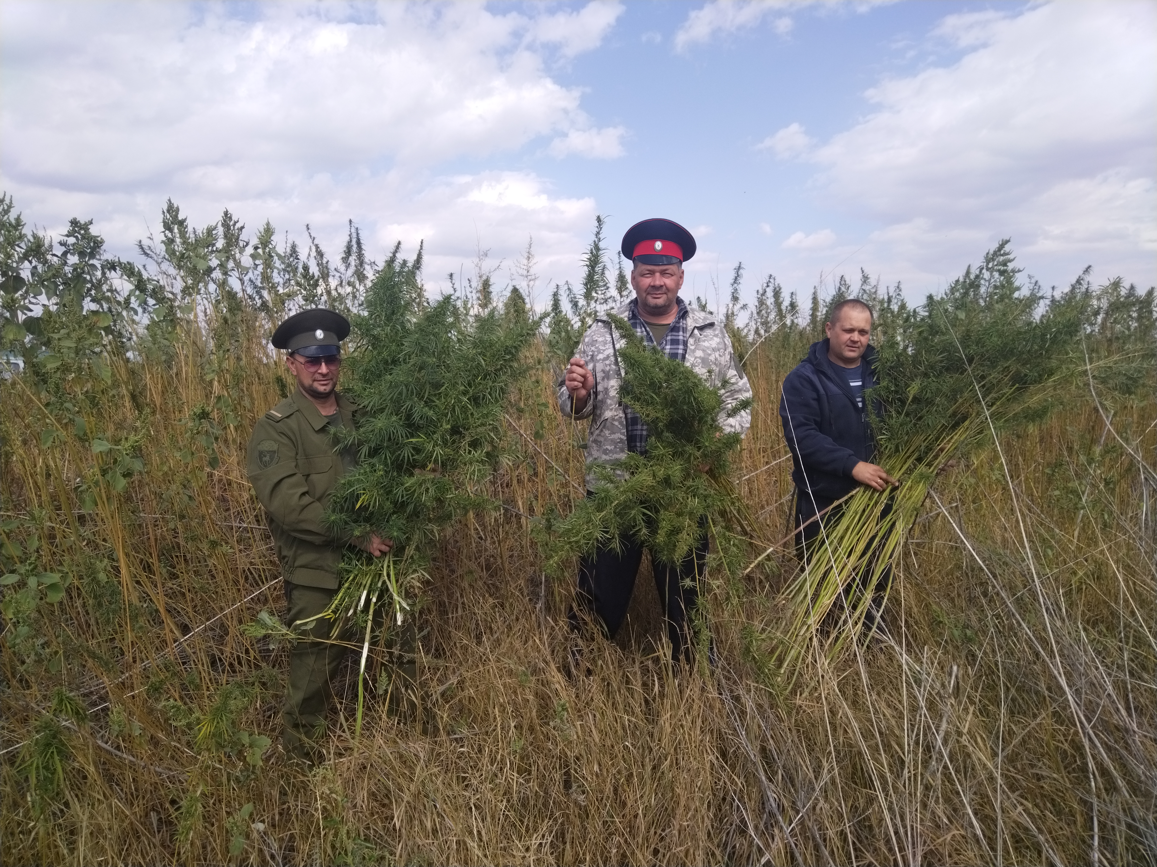 В Белокалитвинском районе завершён третий этап областной антинаркотической акции «Единый день борьбы с дикорастущей коноплёй