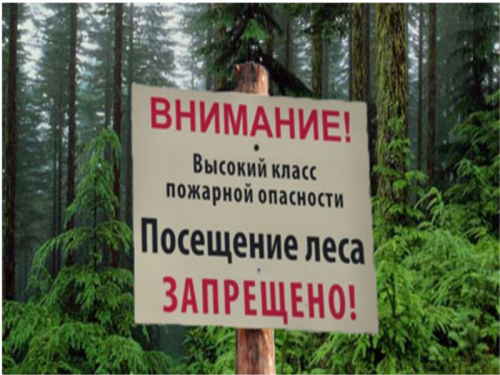 В Ростовской области продлен режим ограничения пребывания граждан в лесах