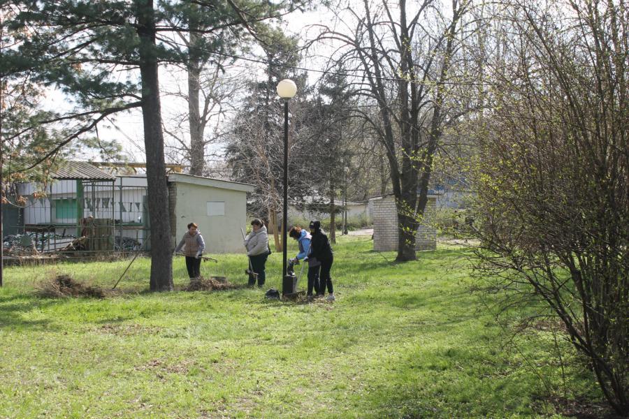 Жители Белокалитвинского района приняли участие в Общеобластном субботнике 