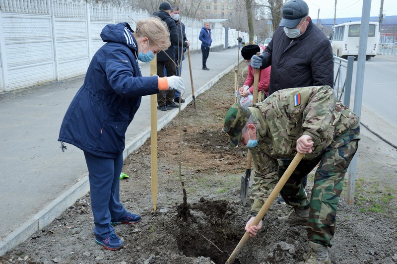 В Белокалитвинском районе прошел весенний День древонасаждений