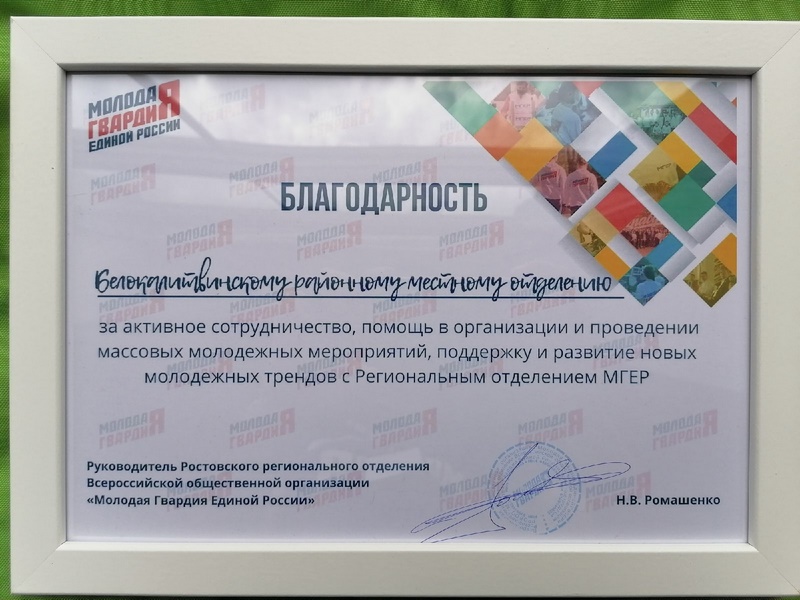 Молодогвардейцу Никите Усову вручена благодарность от Ростовского регионального отделения ВОО «МГЕР»