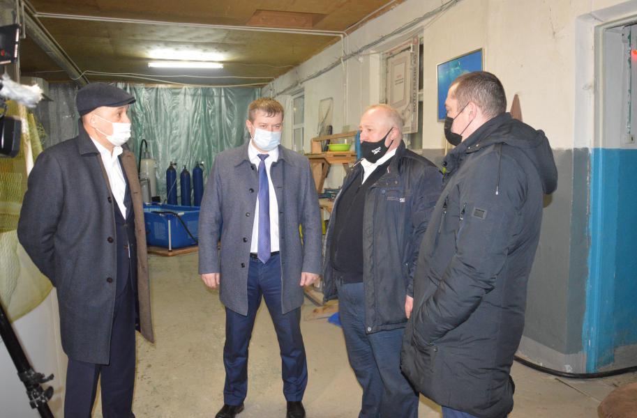 В Белокалитвинском районе стали выращивать радужную форель