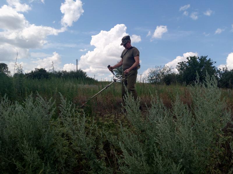 29 июля 2025 года в Белокалитвинском районе прошёл второй этап акции "Единый день борьбы с дикорастущей коноплёй"