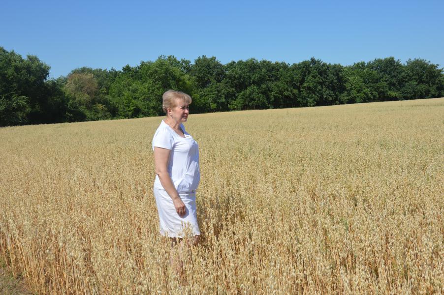 Белокалитвинский район внес свой вклад - 238 тысяч тонн  в общий каравай Ростовской области