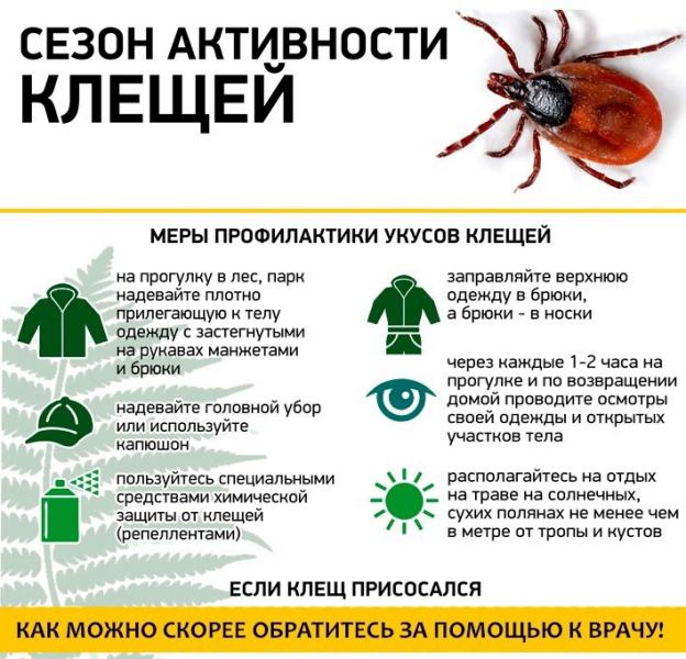Индивидуальная защита от клещей – строгое соблюдение  техники безопасности!