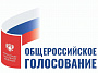 Общественные организации Дона готовятся наблюдать за ходом голосования по конституции