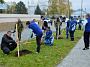 Более 600 белокалитвинцев приняли участие в осеннем Дне древонасаждений